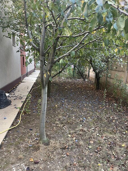 Prelungirea Ghencea, Dantelei, Margelelor,