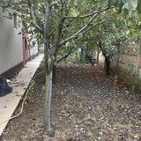 Prelungirea Ghencea, Dantelei, Margelelor